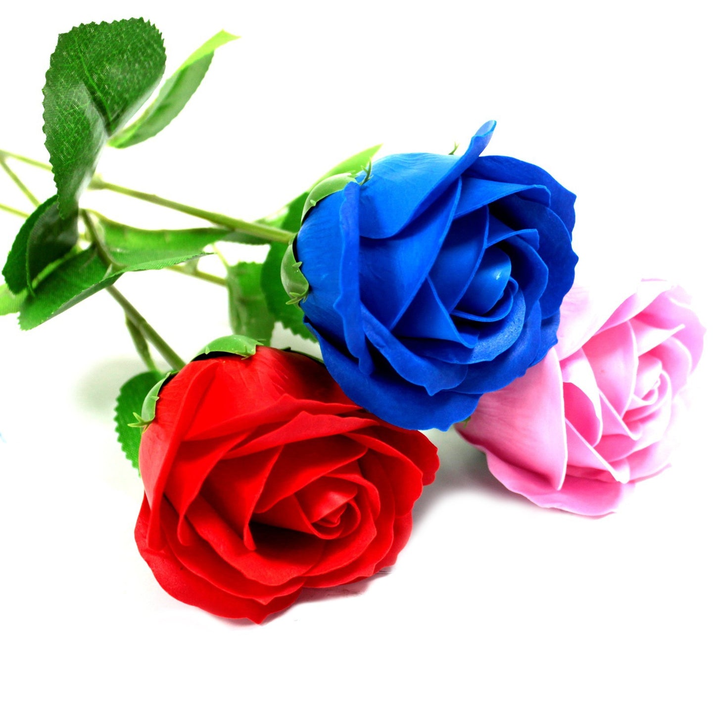 Rose simple - rose rose