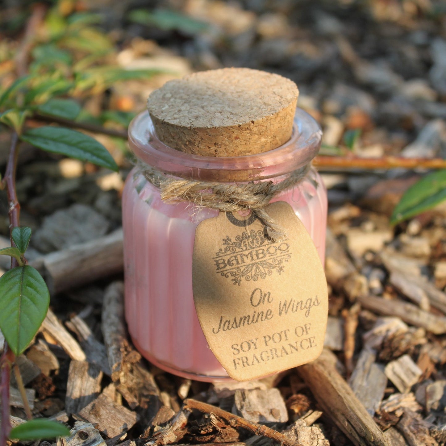 Bougie en pot de cire de soja - Jasmin