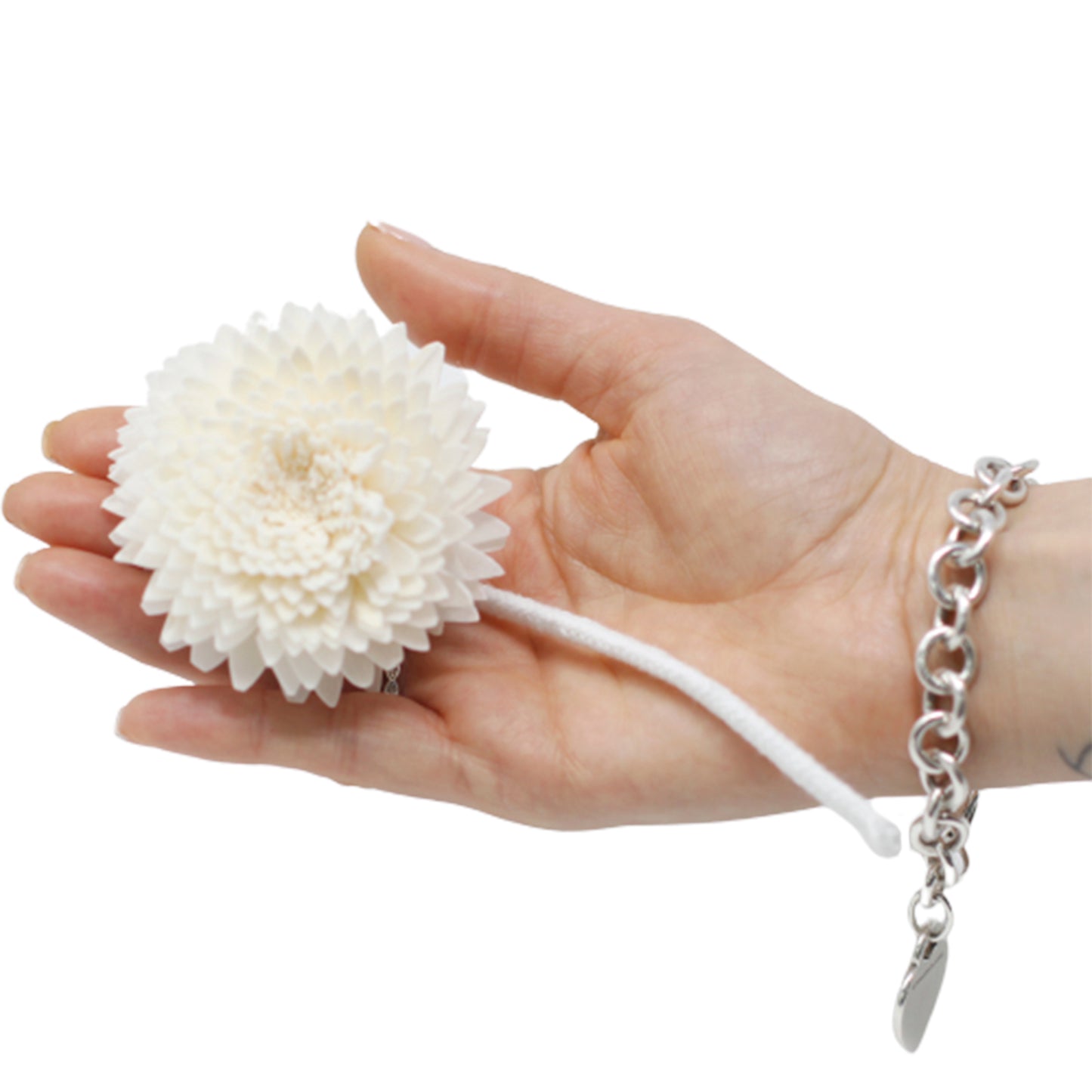 Diffuseur de fleurs naturelles - Grand œillet sur corde