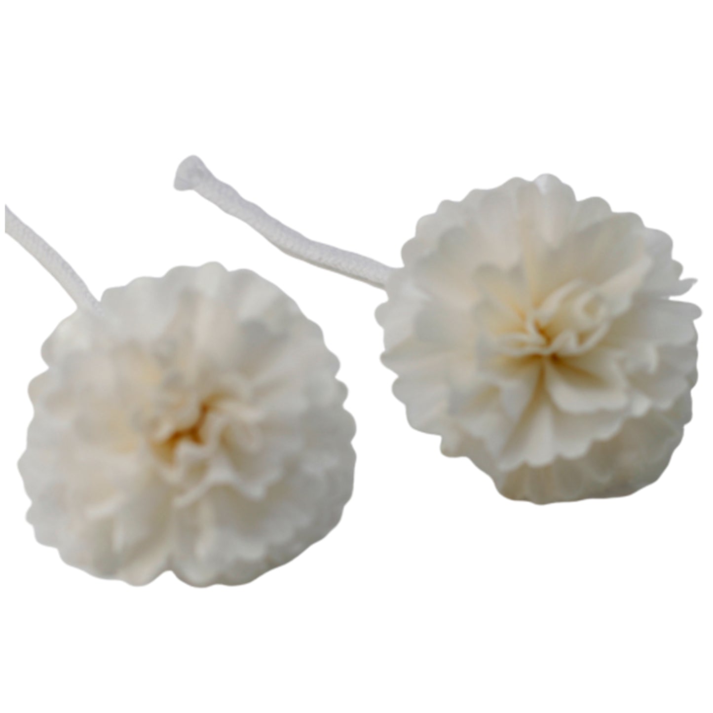 Fleurs naturelles pour diffuseur - Œillet moyen sur corde