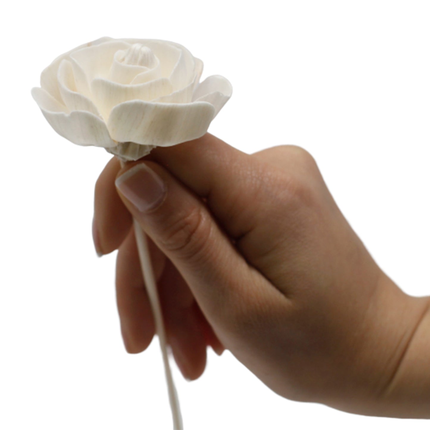 Natürlicher Blumendiffusor – Rose im Schilf