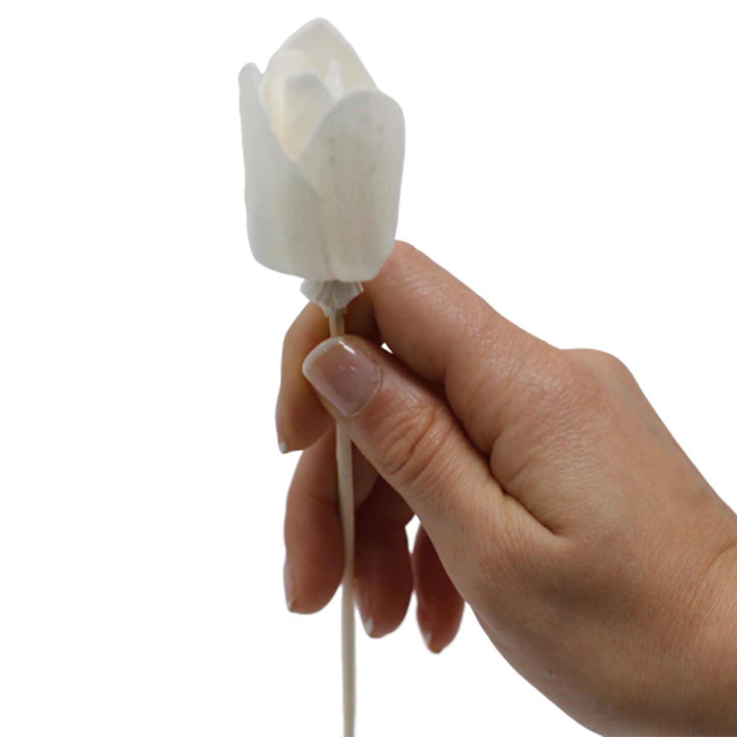 Diffuseur de fleurs naturelles - Tulipe en canne