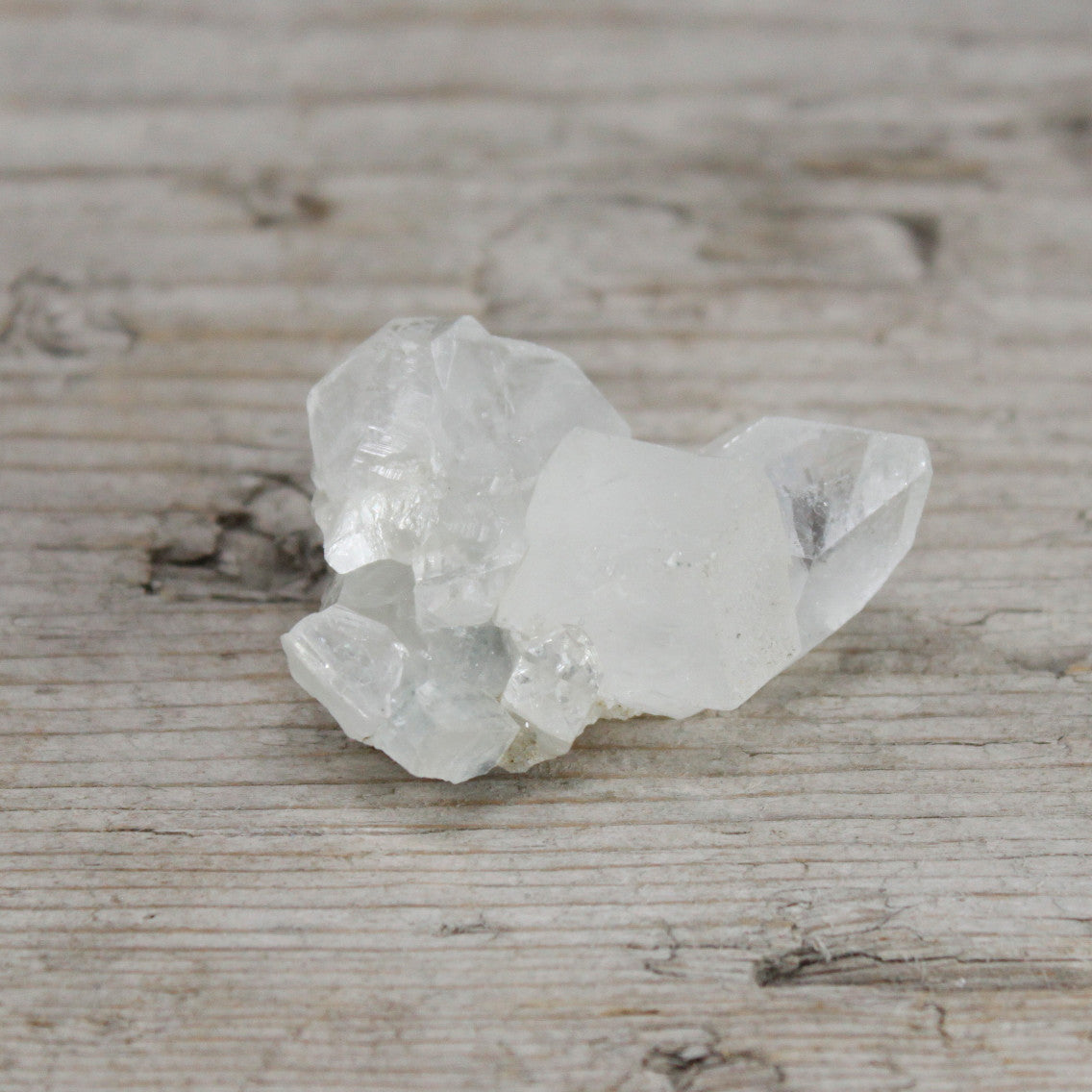Amas d'apophyllite blanche de 20 à 30 mm