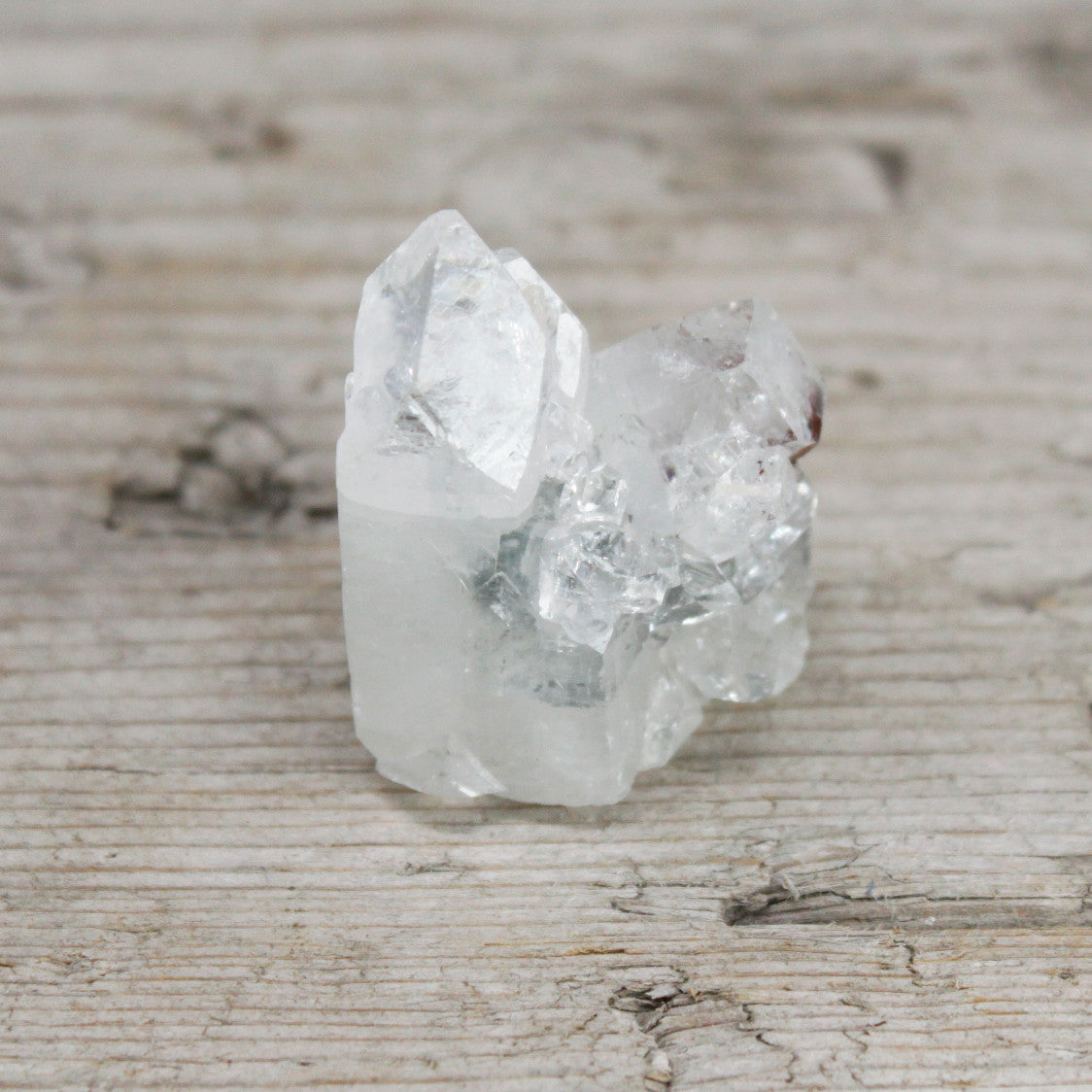 Amas d'apophyllite blanche de 20 à 30 mm