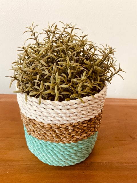 Ensemble de paniers en jonc de mer - Vert/Naturel/Blanc