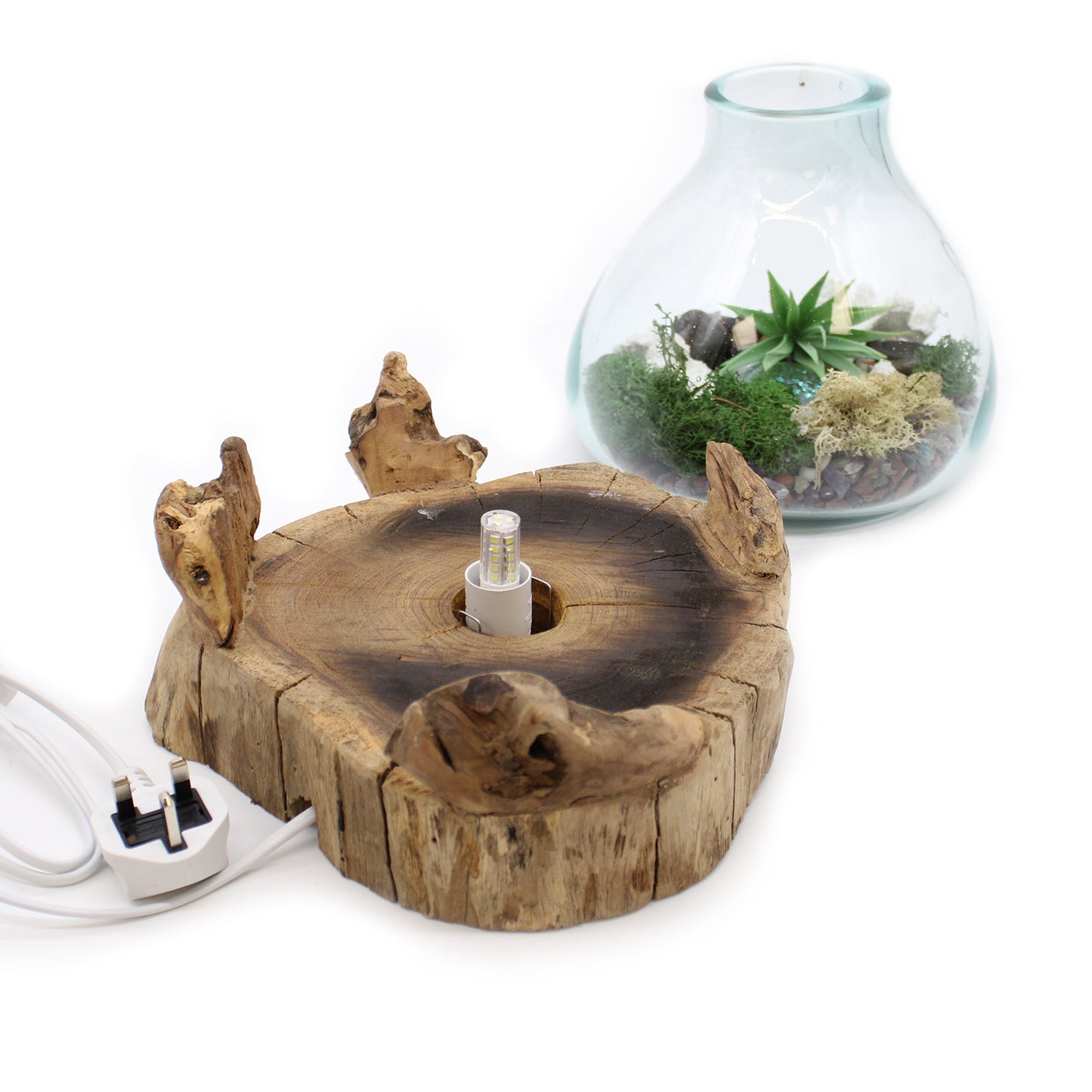 Pecera grande de vidrio fundido - 32cm