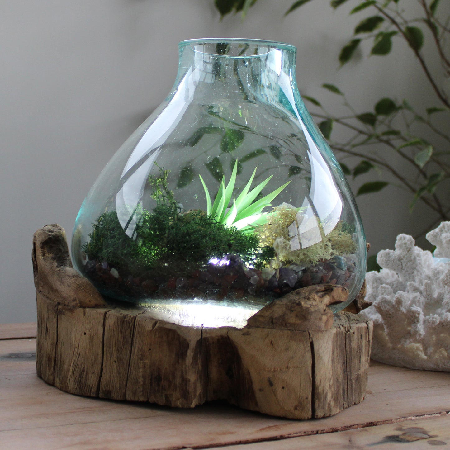 Pecera grande de vidrio fundido - 32cm