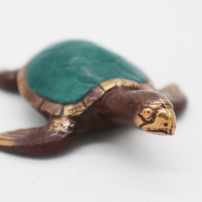 Tortues de mer - Lot de 3