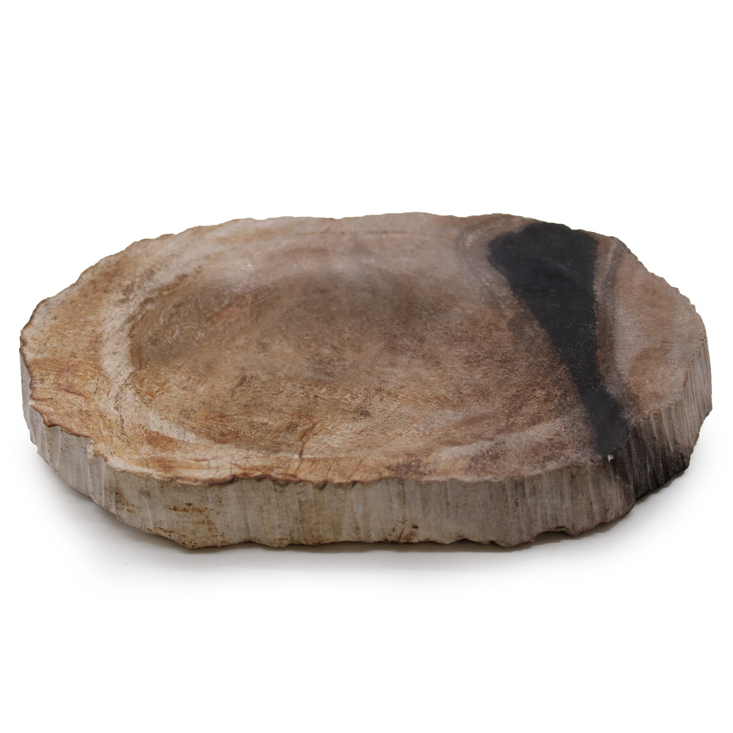 Porte-savon en bois pétrifié noir
