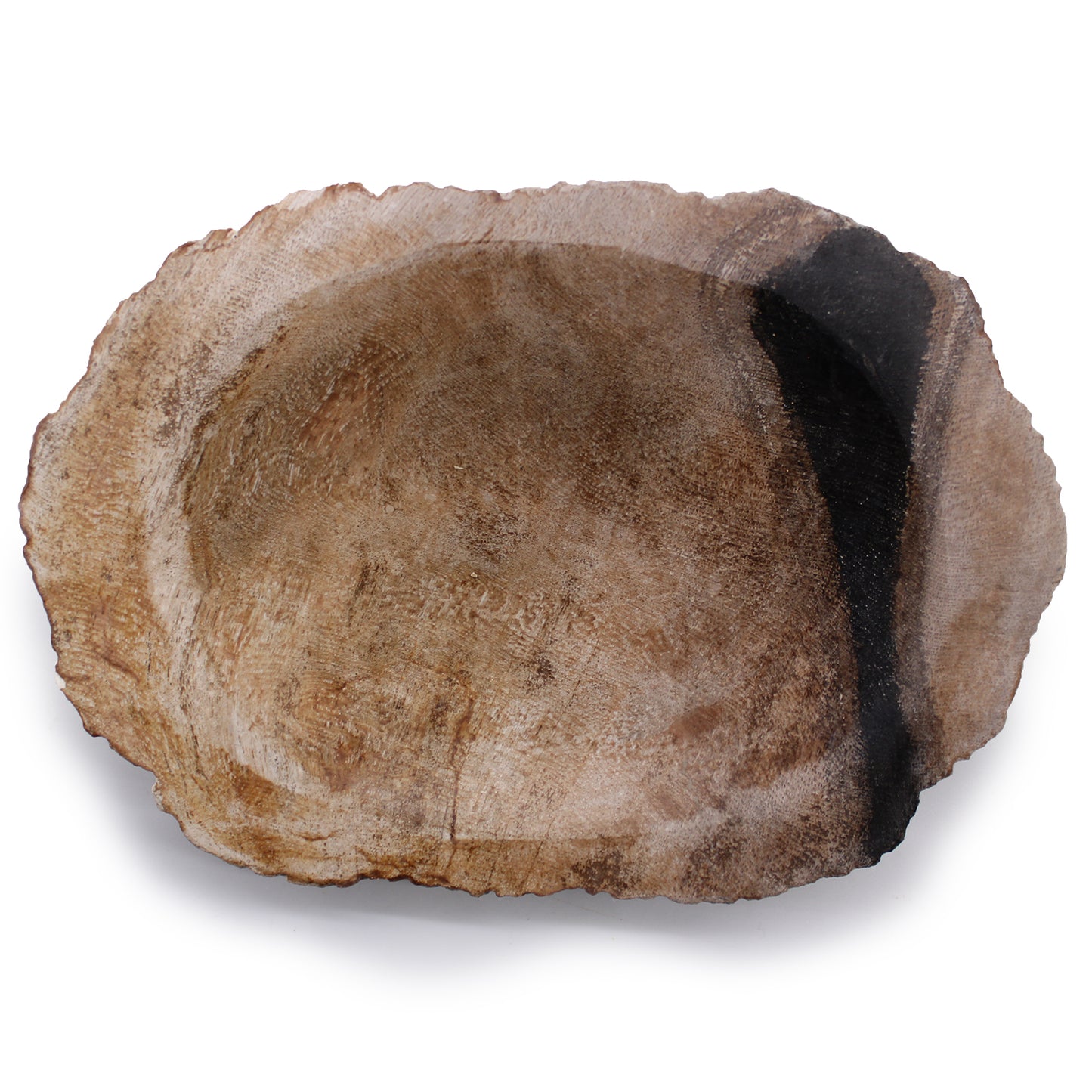 Porte-savon en bois pétrifié noir