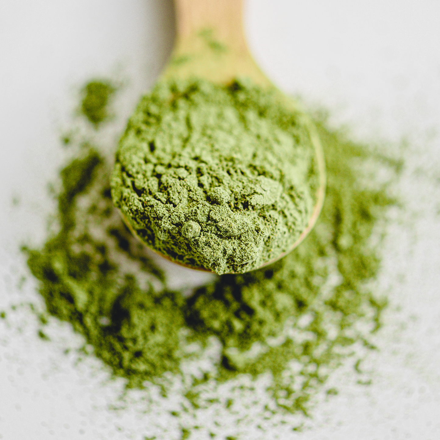 Thé Matcha culinaire biologique