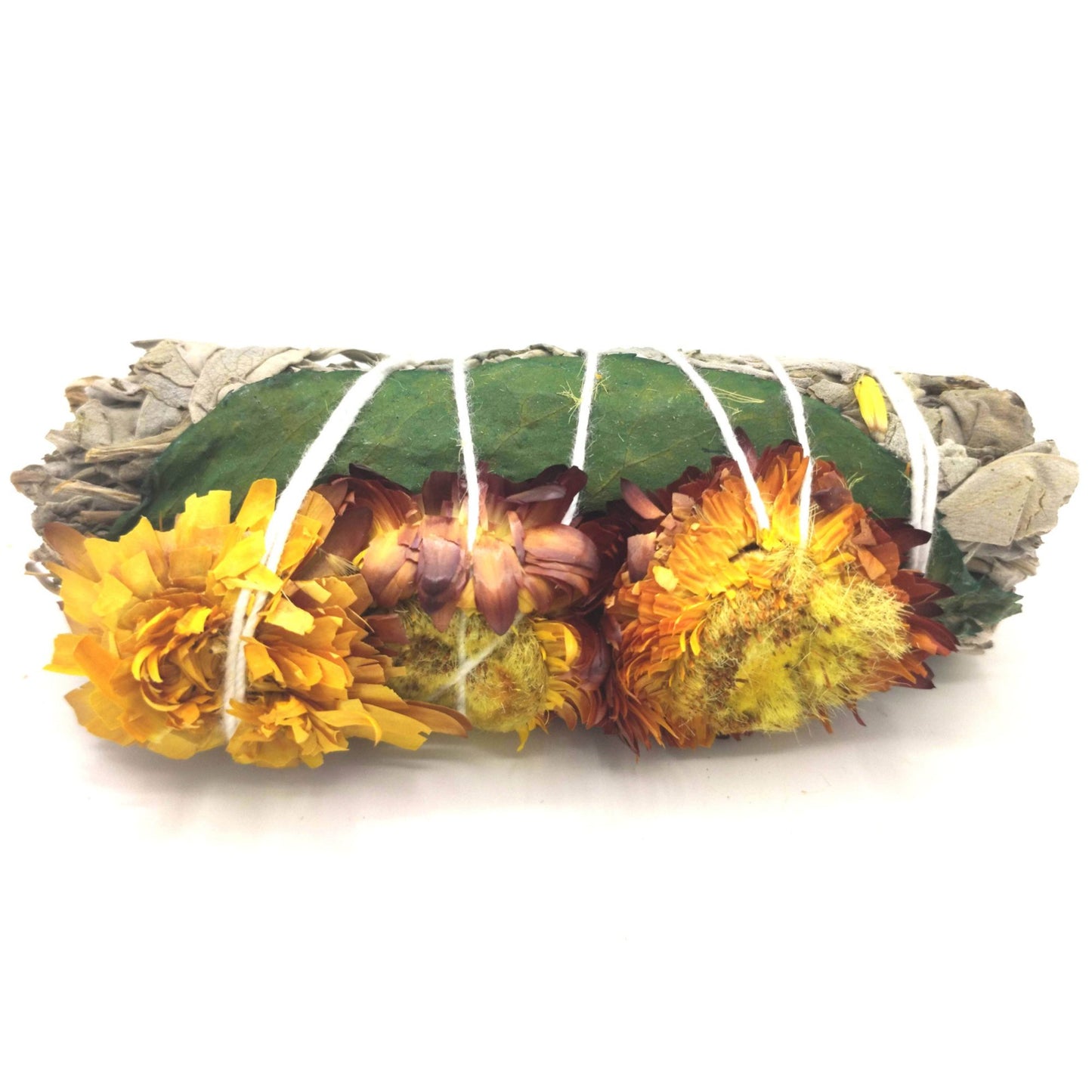 Bâtonnets de maculage - Tournesol Sauge 10 cm