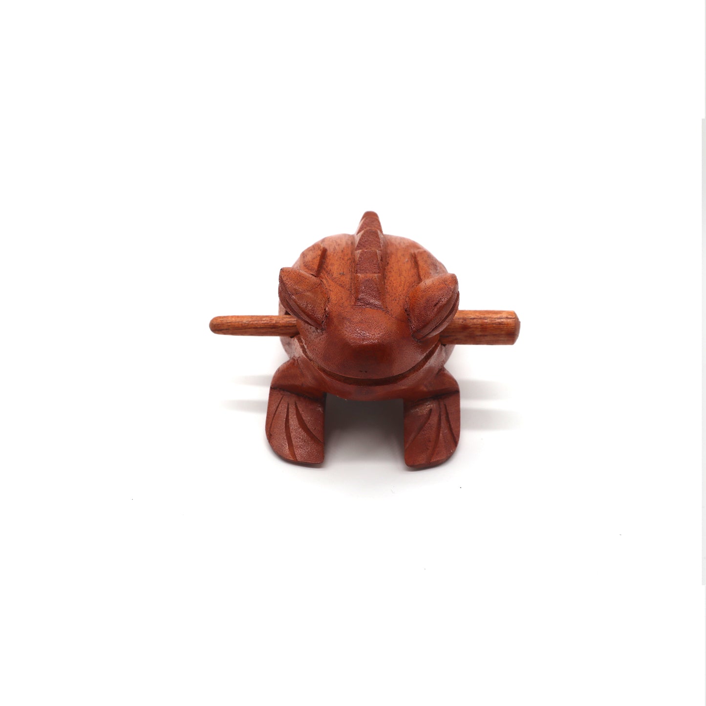 Grande grenouille des bois croquante