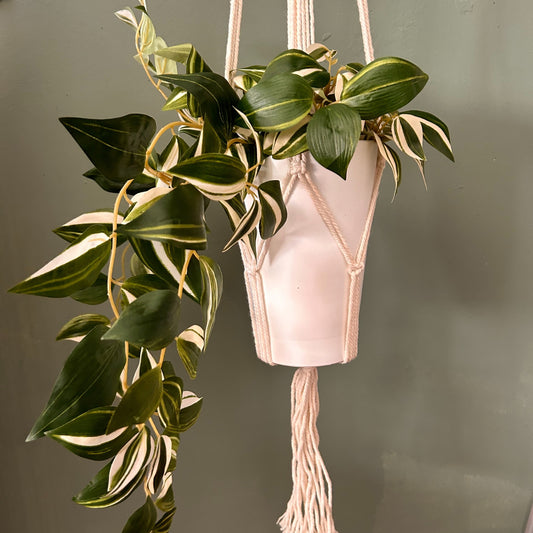 Klassischer Makramee-Ständer – Natürlicher Med Pot