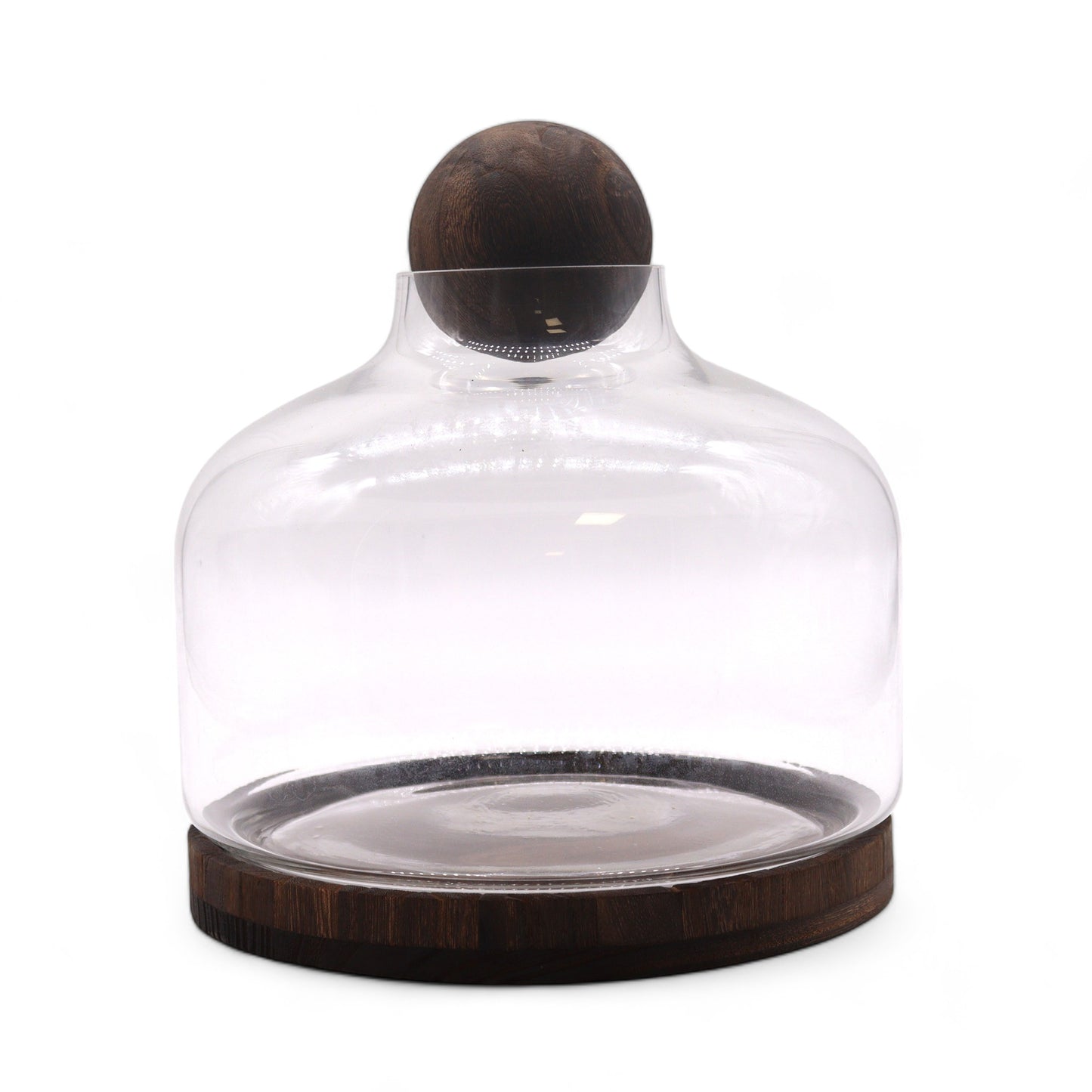 Extra großes Terarium aus dunklem Tungholz mit Kugeldeckel – 23 x 23 cm