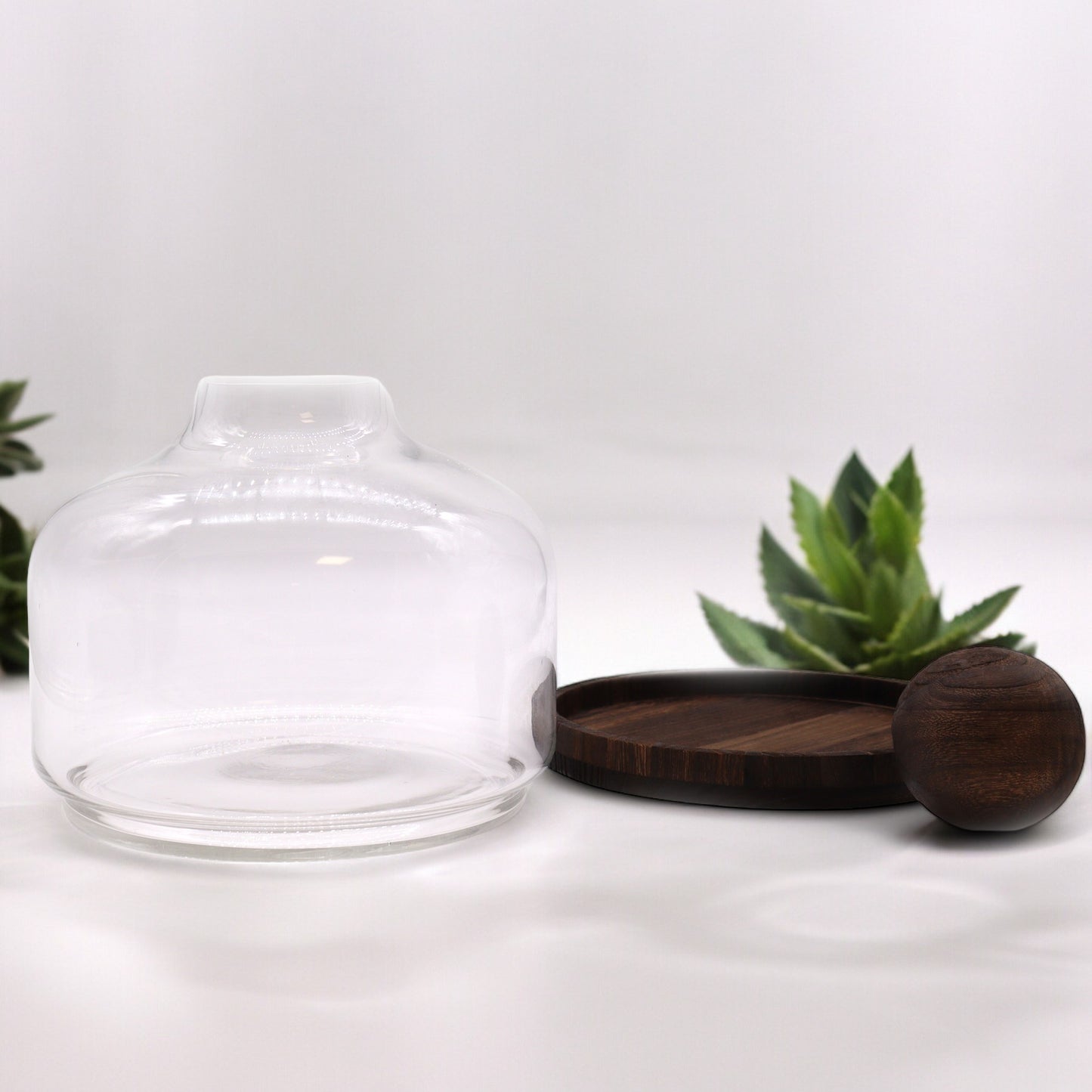 Extra großes Terarium aus dunklem Tungholz mit Kugeldeckel – 23 x 23 cm