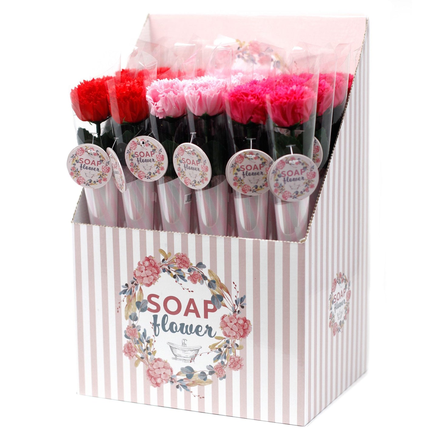 Fleurs de savon - Petit œillet