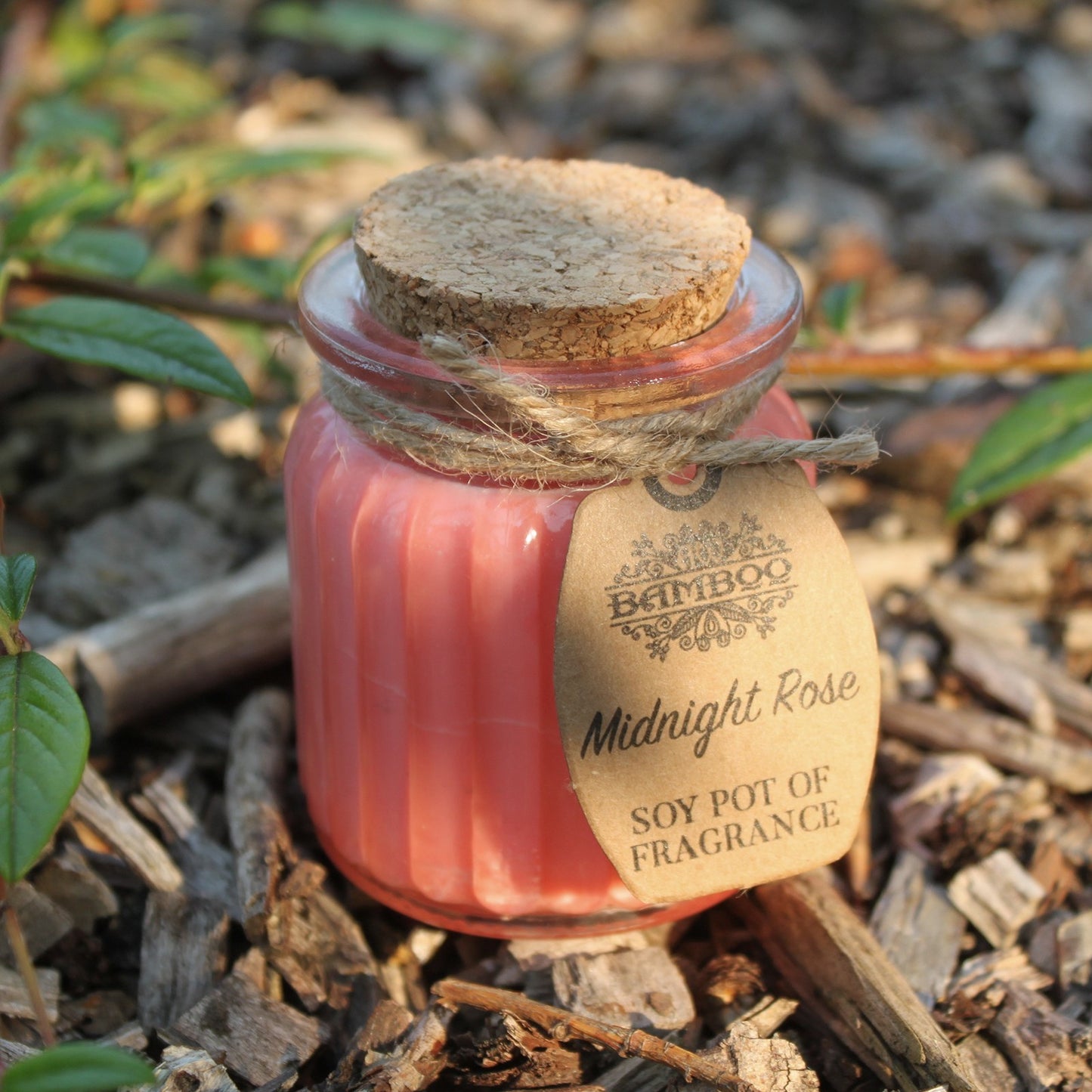 Bougie en pot de cire de soja - Rose