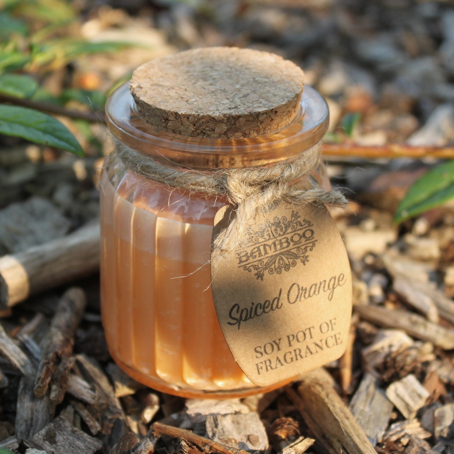 Bougie en pot de cire de soja - Orange épicée