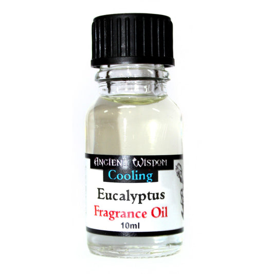 Duftöle 10 ml – Eukalyptus
