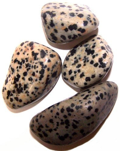 24 x L Tumble Stones - Dalmata