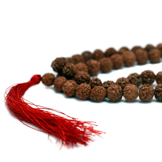 Mala Japa 108 Rudraksha - Marron