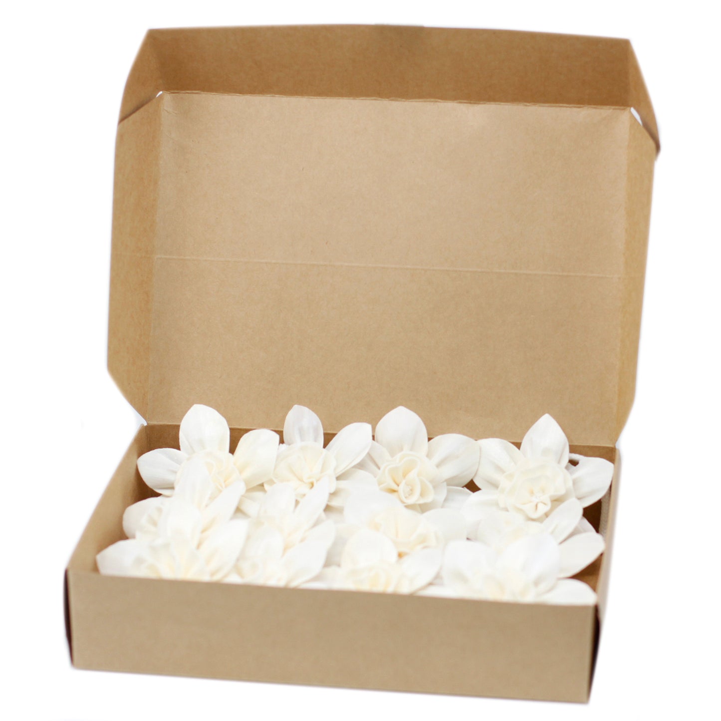 Natürlicher Blumendiffusor – Große Lilie am Seil