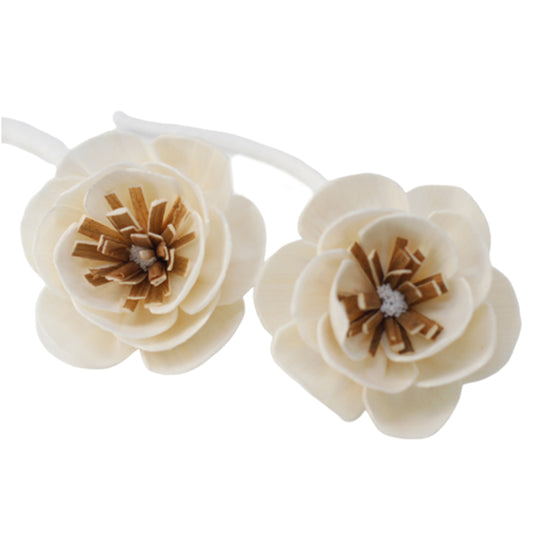 Natürliche Blumen für Diffusor - Kleine Mohnblume an einem Seil