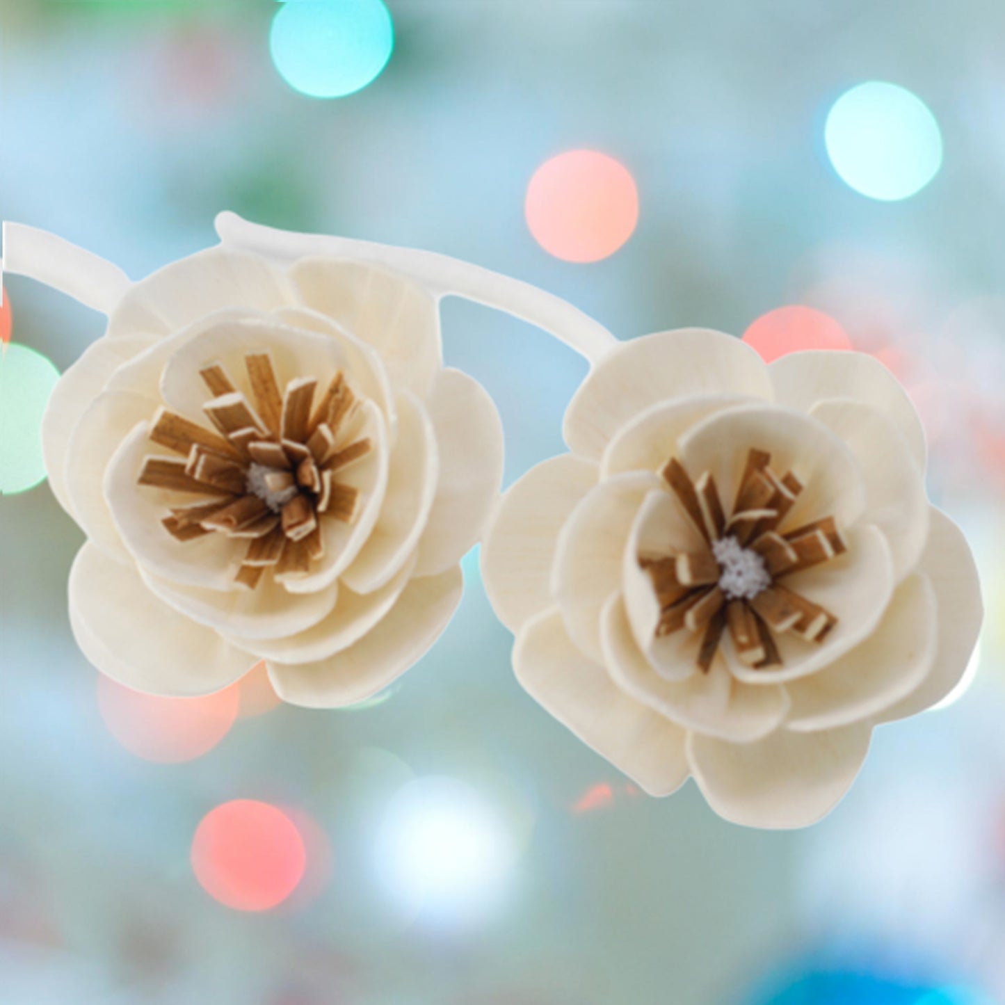 Natürliche Blumen für Diffusor - Kleine Mohnblume an einem Seil
