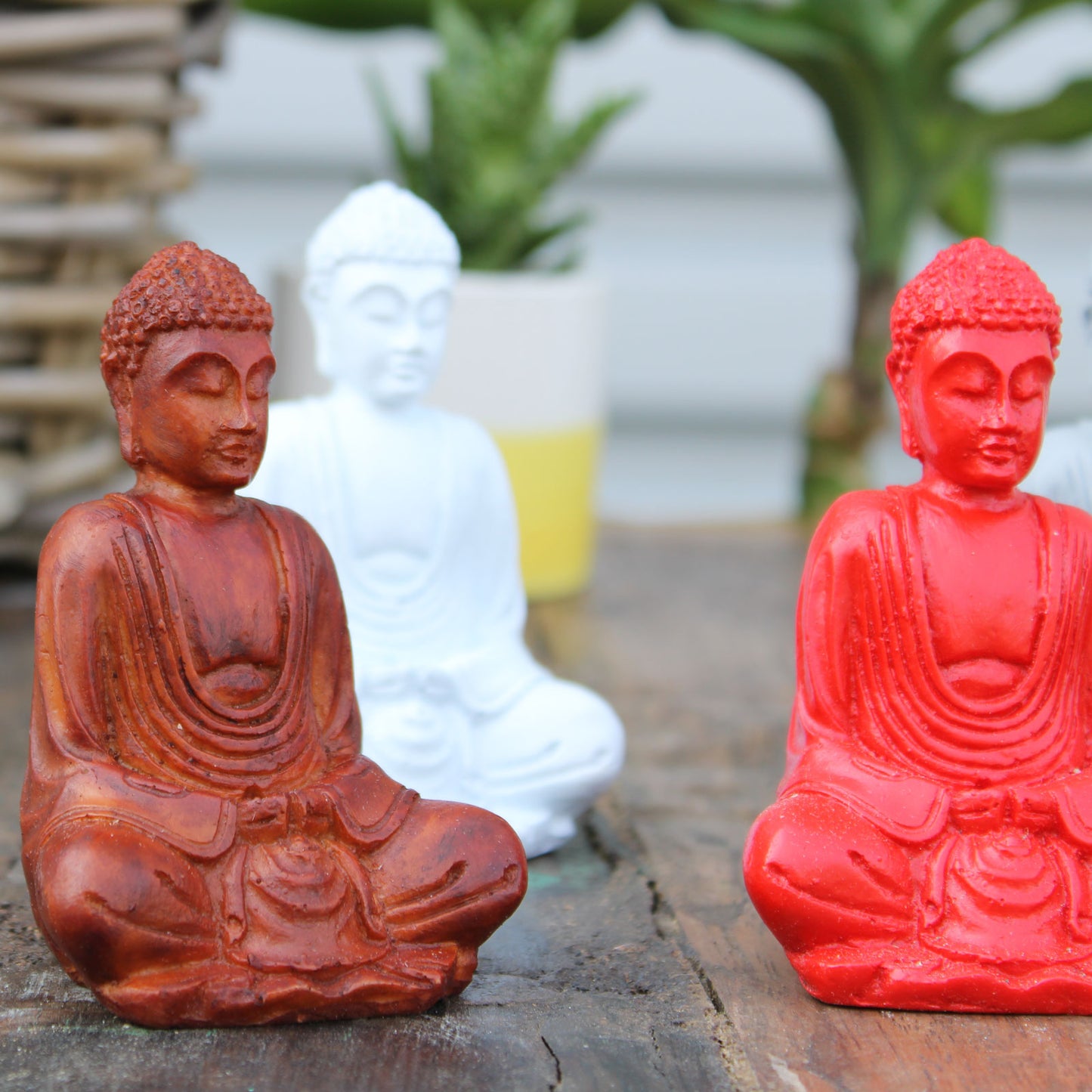 6 x Mini Buddha Mate (couleurs assorties)