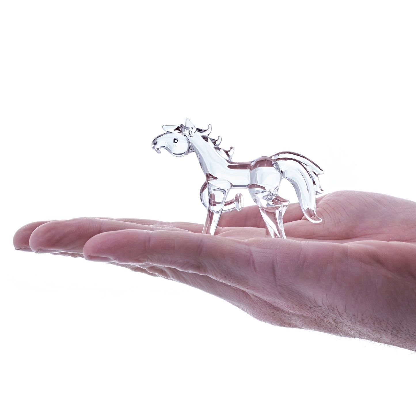 Cheval (petit)