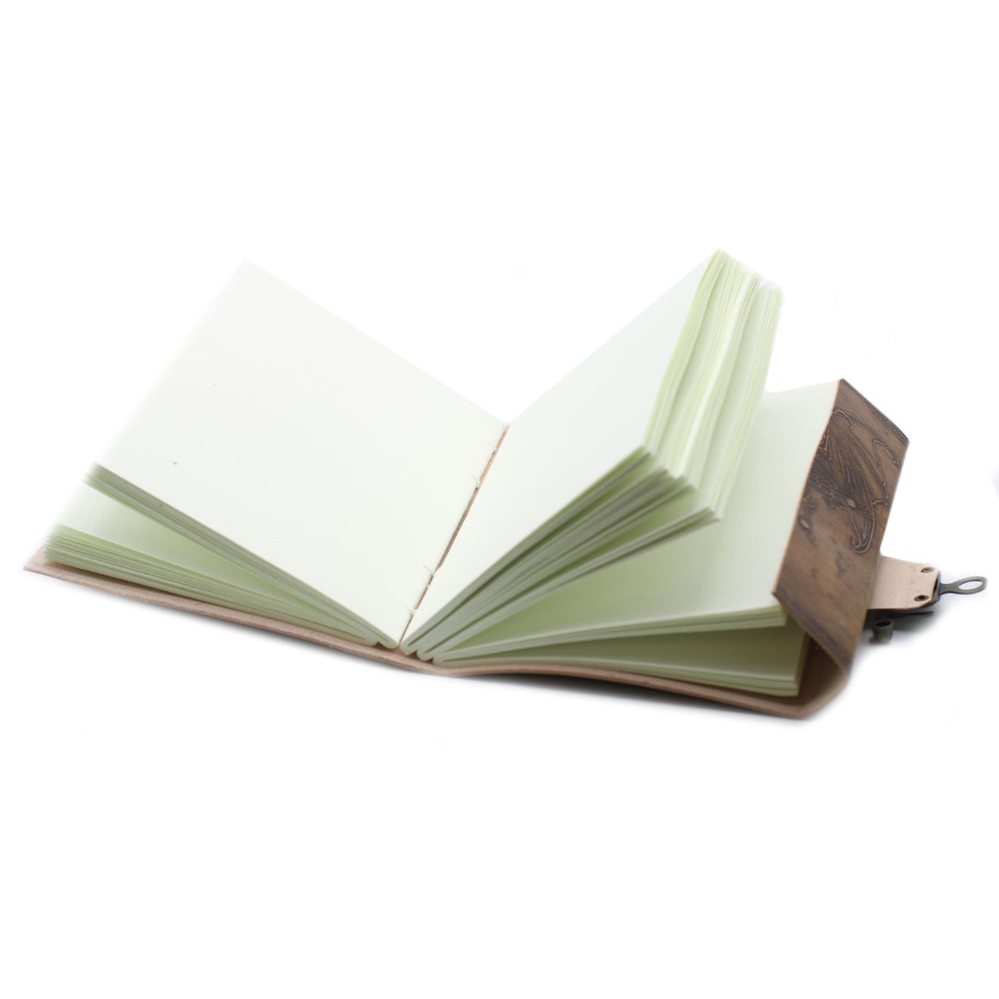 Carnet Dragon en cuir (20x15 cm)