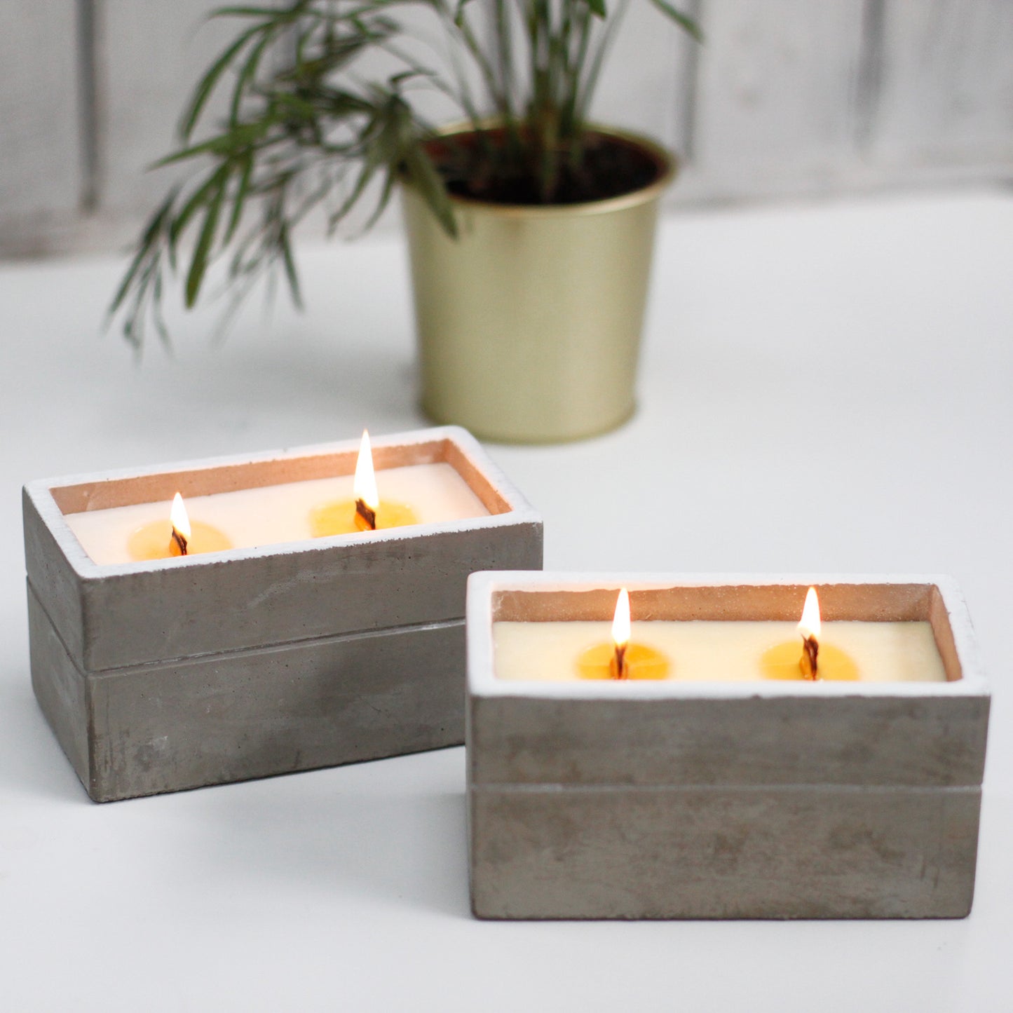 Big Box - Clou de girofle et bois de santal foncé