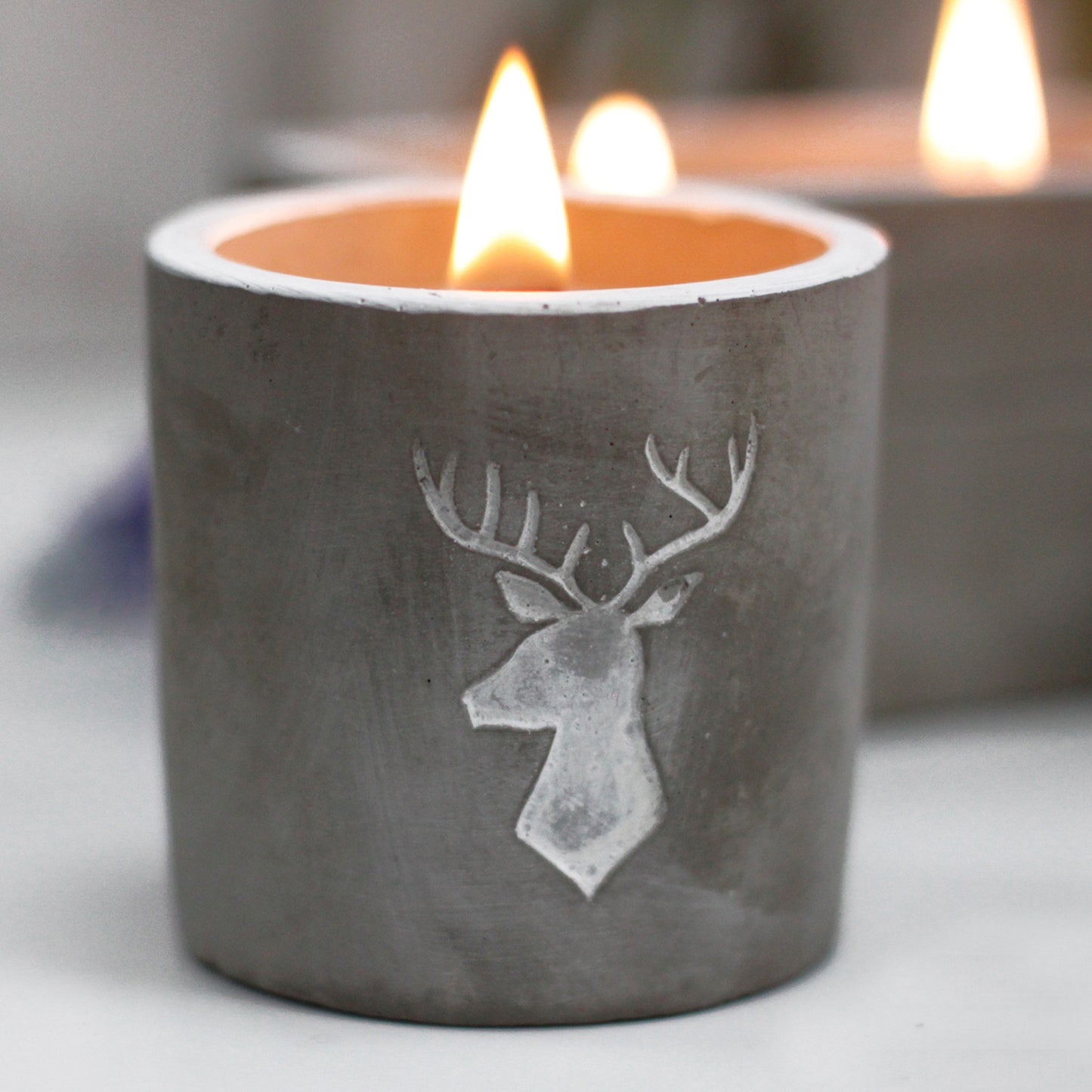 Pot moyen - Tête de cerf - Whisky et fumée de bois