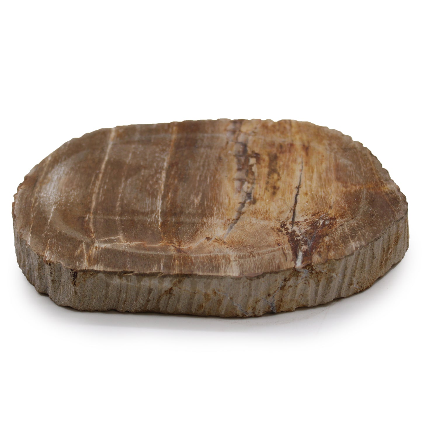 Porte-savon en bois pétrifié marron