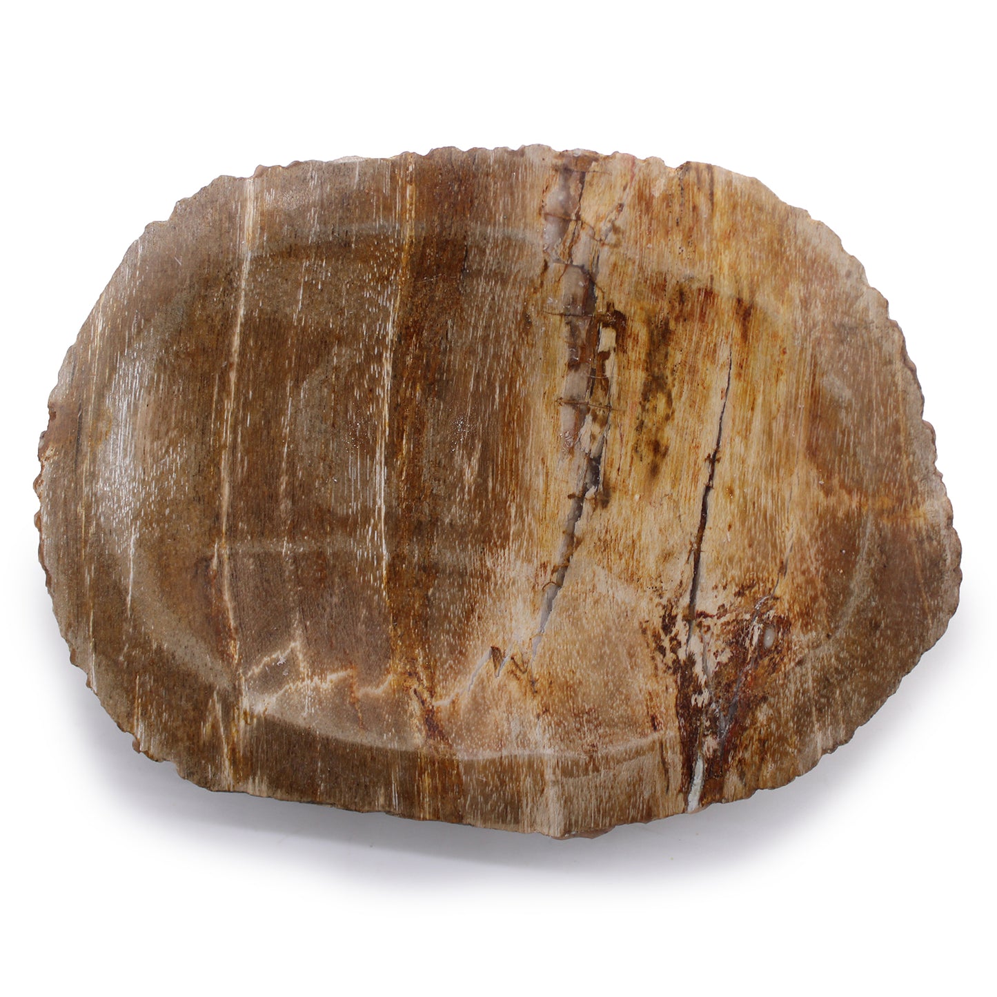 Porte-savon en bois pétrifié marron