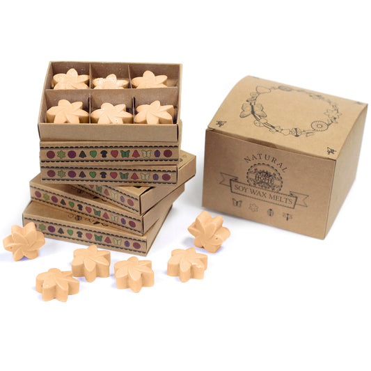 Schachtel mit 6 Sojawachsschmelzen - Jasmin