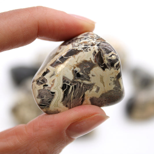 Pierres naturelles XL - Jaspe argenté