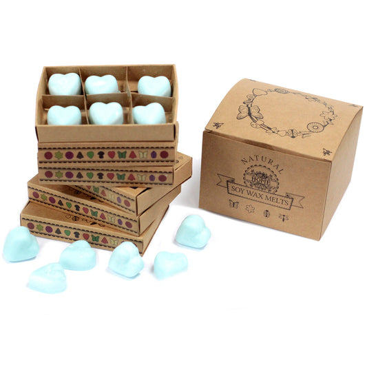 Schachtel mit 6 Sojawachsen – Nagchampa