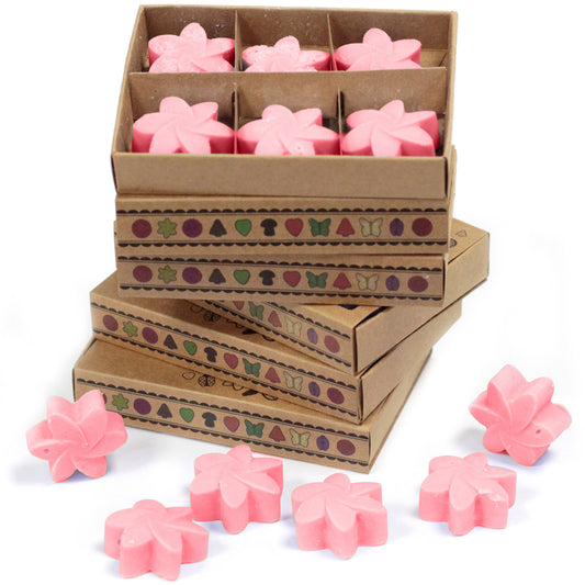 Schachtel mit 6 Sojawachsschmelzen - Japanische Magnolie