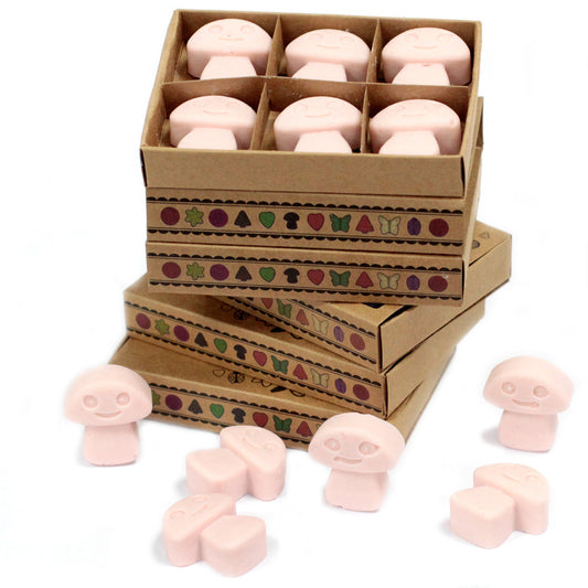 Schachtel mit 6 Sojawachsschmelzen - Sandelholz