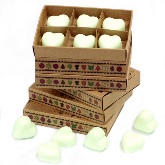 Schachtel mit 6 Sojawachsschmelzen – Minze und Menthol