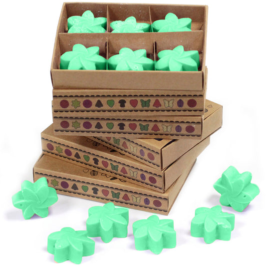 Schachtel mit 6 Sojawachsmalstiften - Hidden Garden