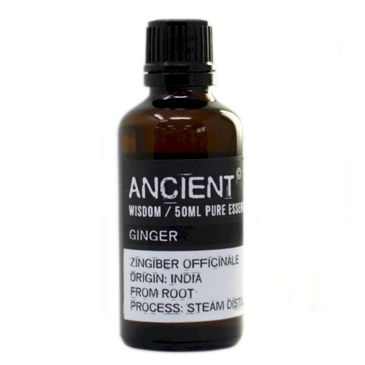 Ätherisches Öl 50 ml – Ingwer