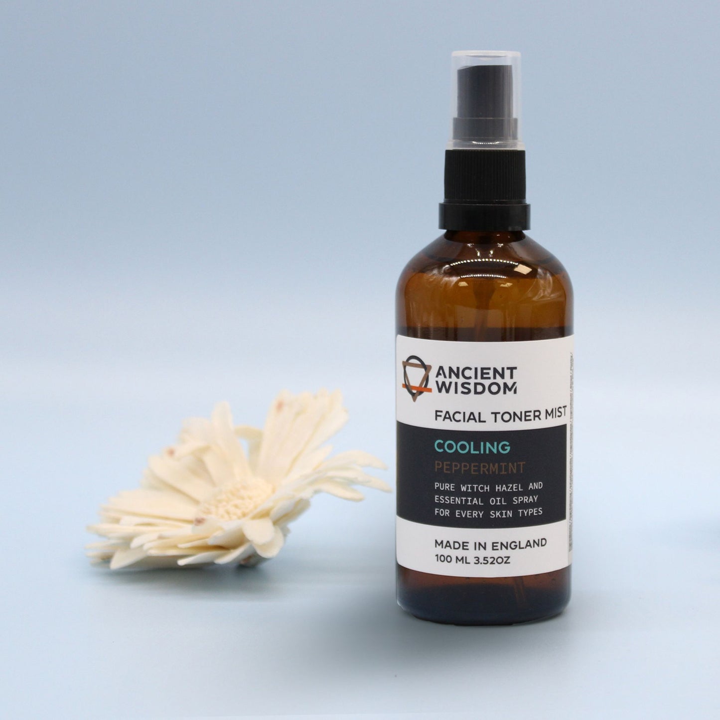 Crème hydratante pour le visage à la menthe 100 ml