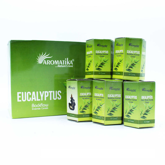 Lot de 10 encens Masala Backflow - Eucalyptus