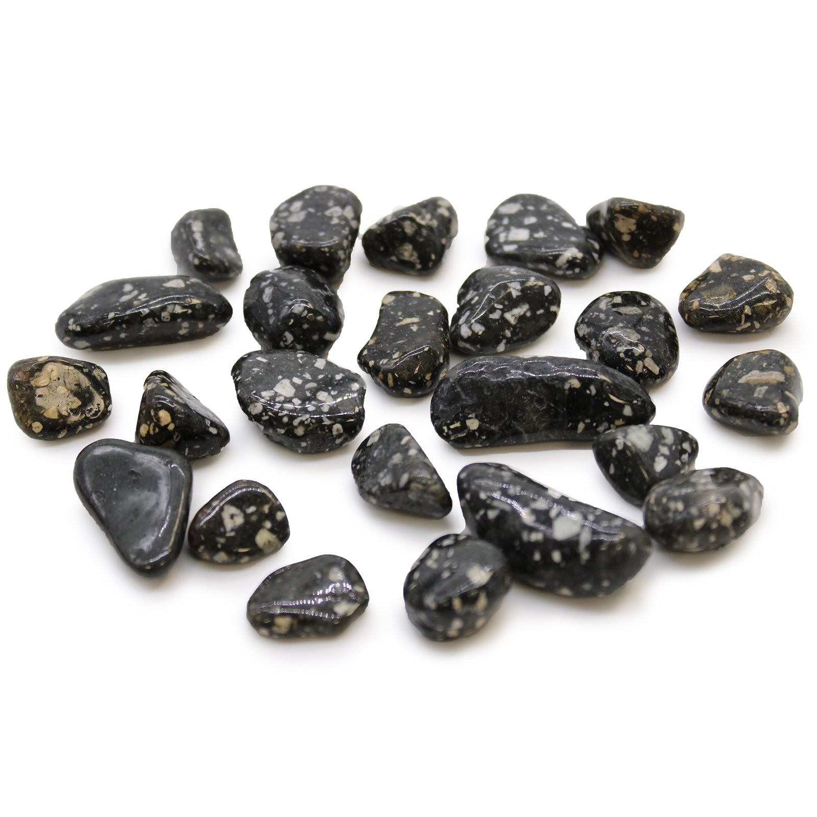 24 x Pequeñas piedras africanas - Gallina de Guinea