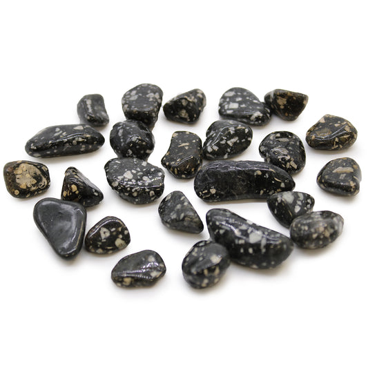 24 x Pequeñas piedras africanas - Gallina de Guinea