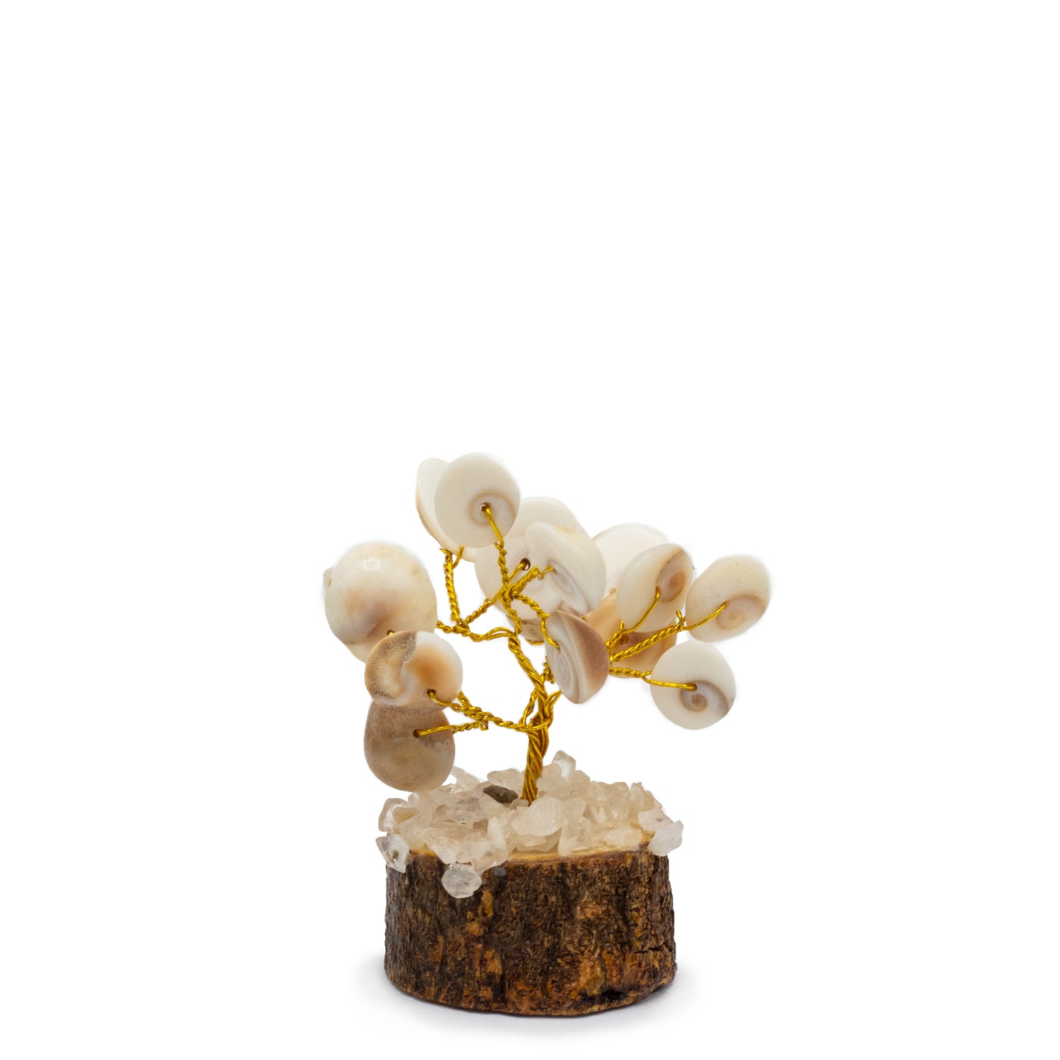 12 x Pequeño Gomati Chakra Árboles de Piedra Círculo con Rudraksha - (15 piedras)