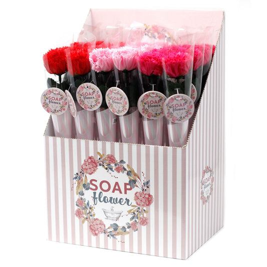 Fleurs de savon - Petit œillet